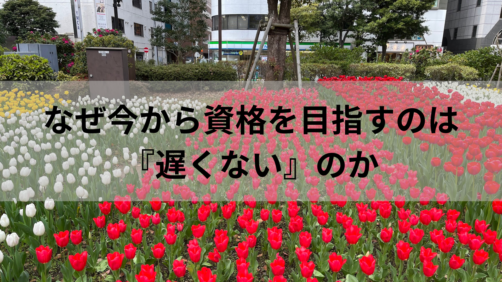 なぜ今から資格を目指すのは『遅くない』のか