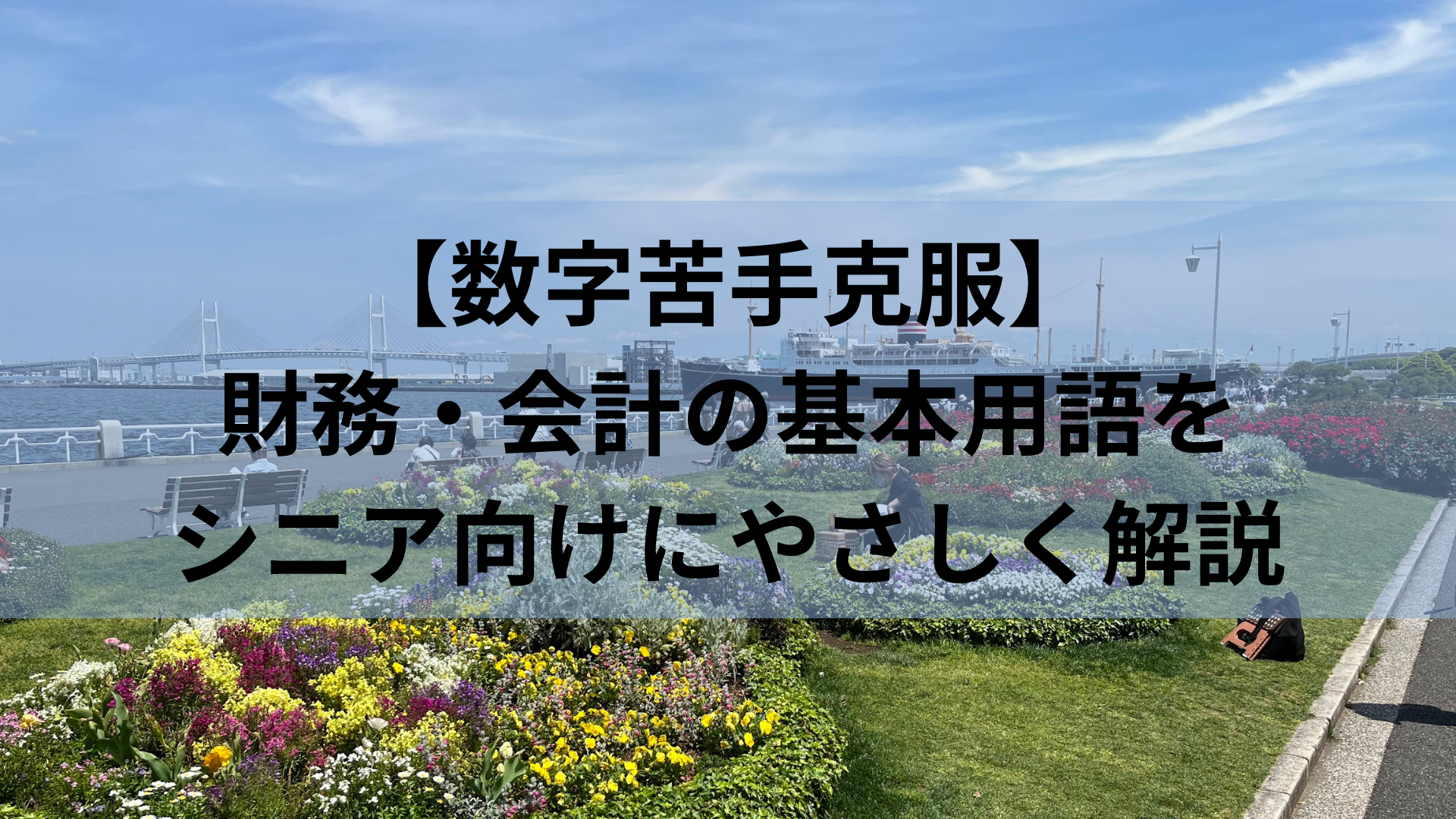 【数字苦手克服】財務・会計の基本用語をシニア向けにやさしく解説