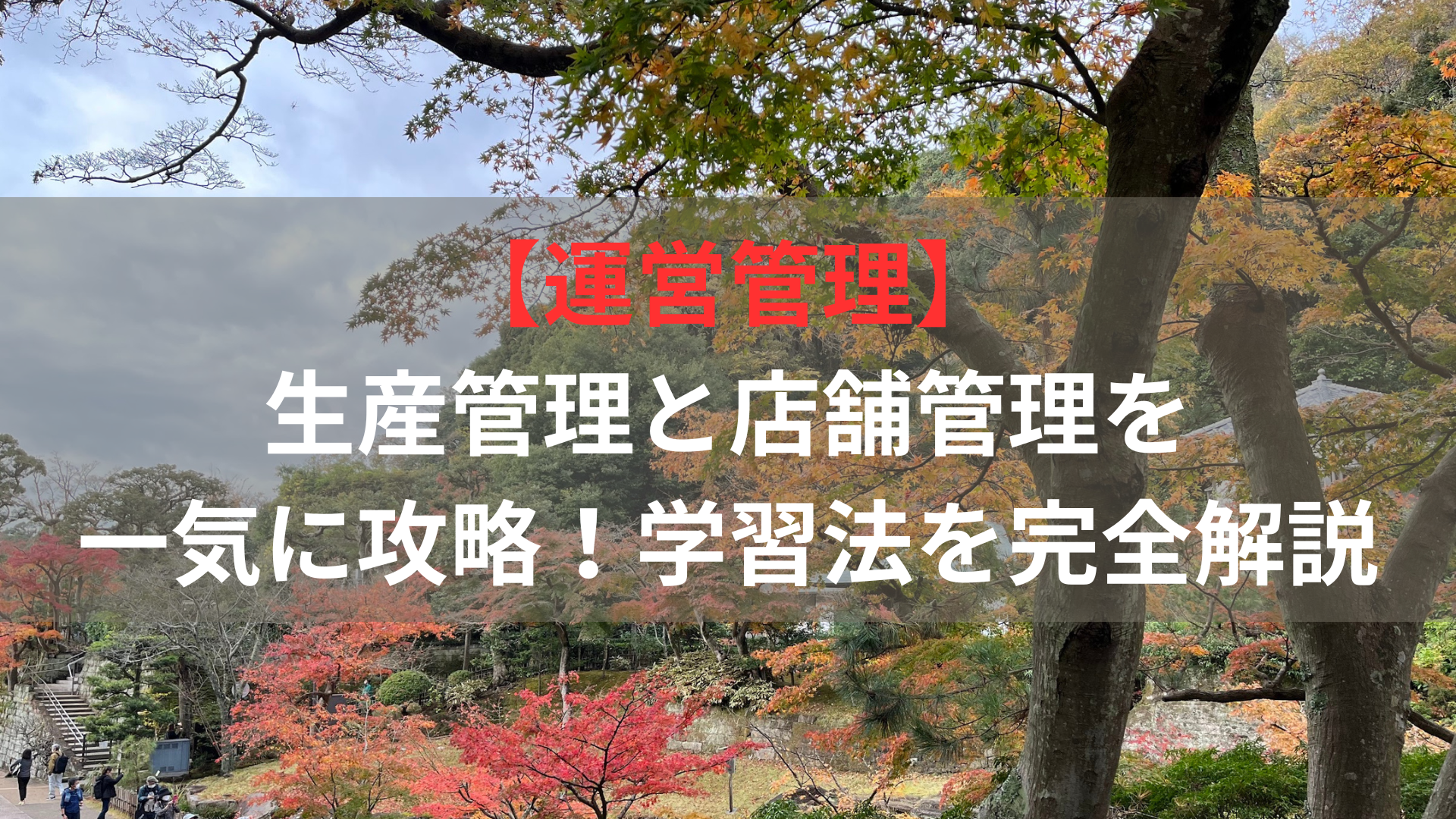 【運営管理】生産管理と店舗管理を一気に攻略！学習法を完全解説