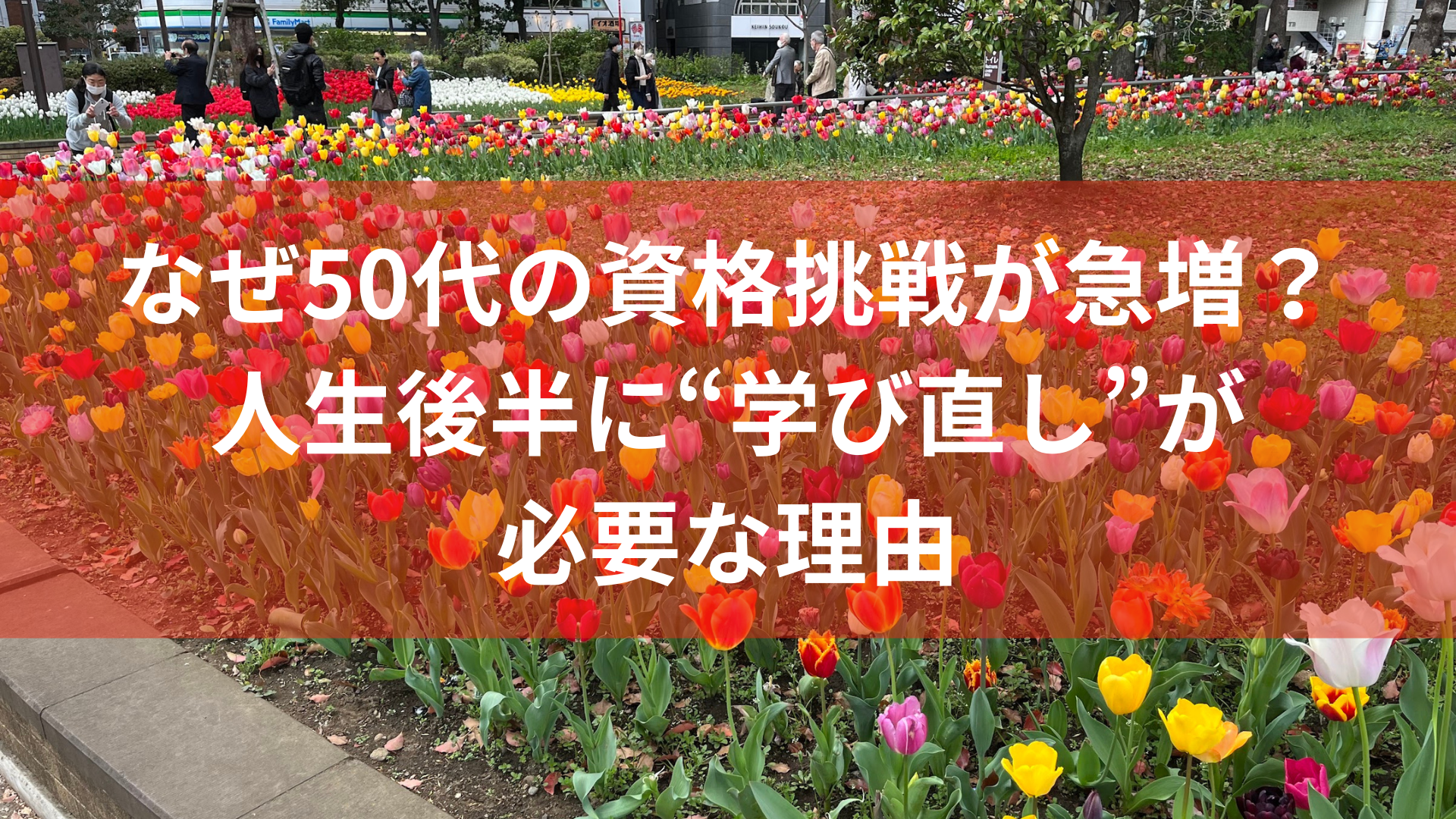 なぜ50代の資格挑戦が急増？人生後半に“学び直し”が必要な理由