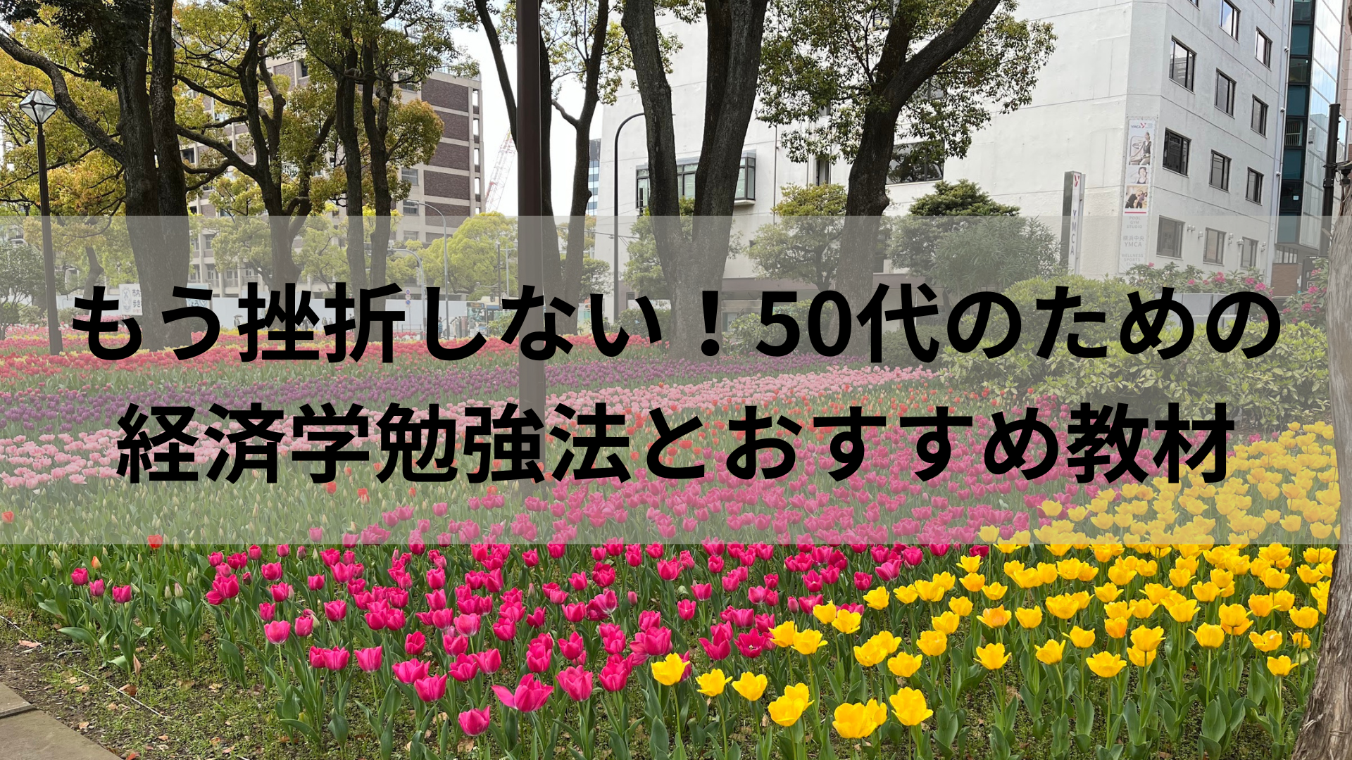 もう挫折しない！50代のための経済学勉強法とおすすめ教材