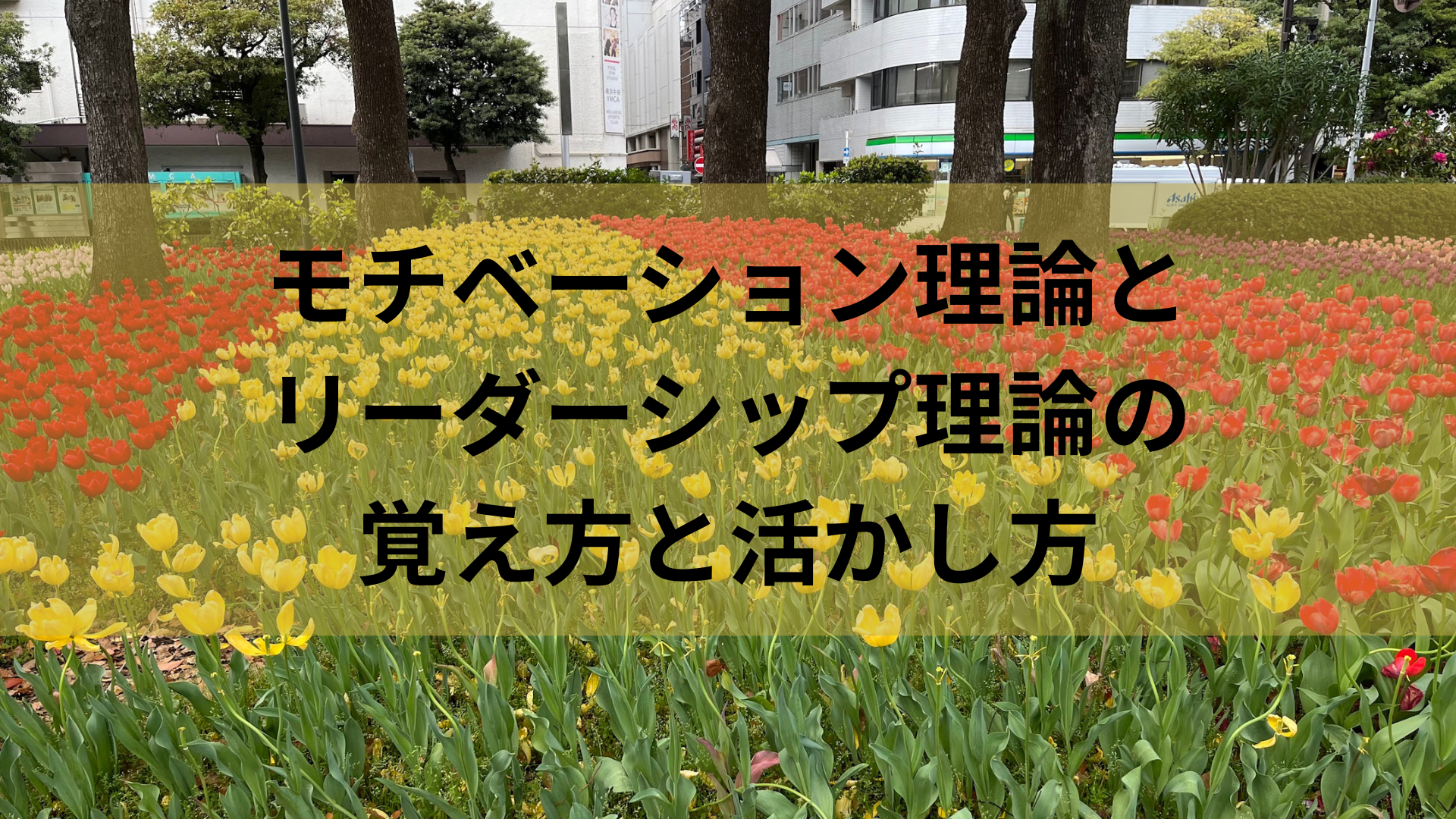モチベーション理論とリーダーシップ理論の覚え方と活かし方