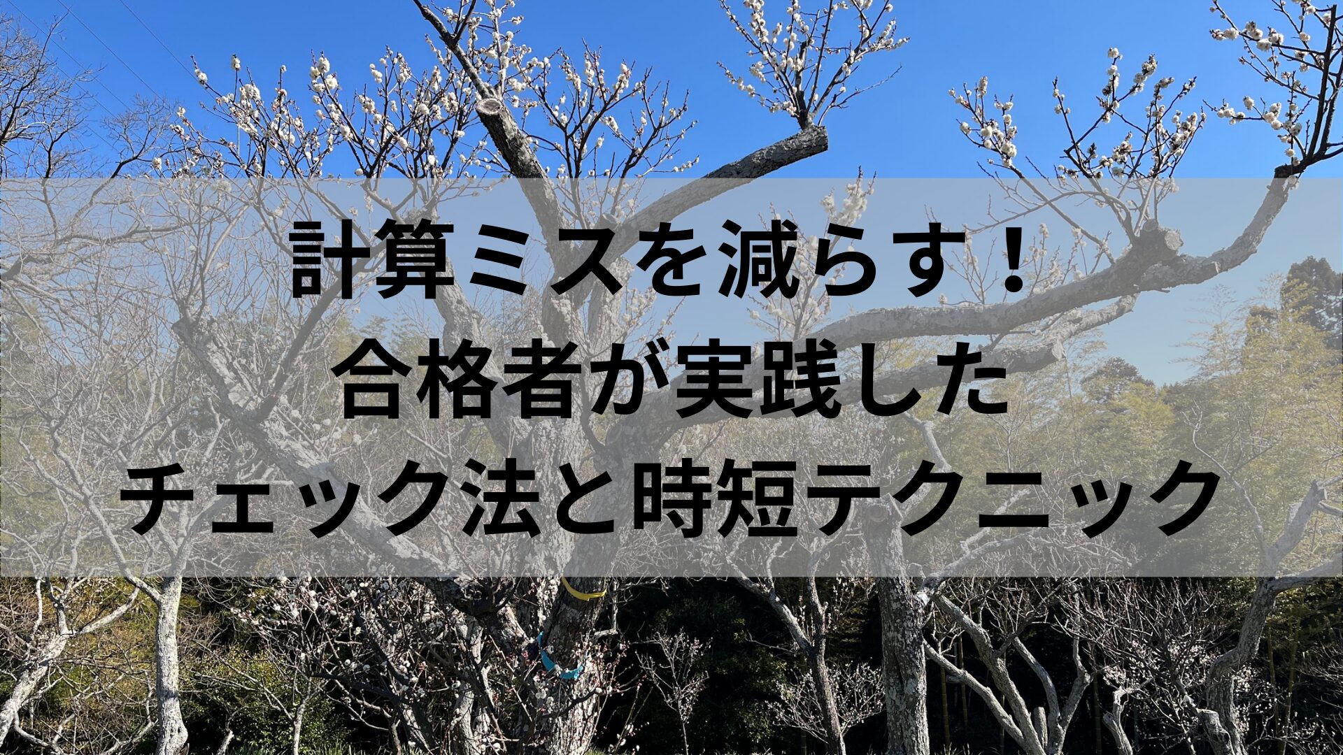 計算ミスを減らす！合格者が実践したチェック法と時短テクニック