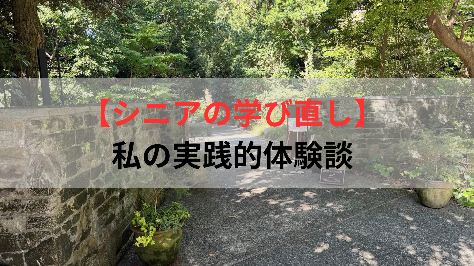 【シニアの学び直し】 私の実践的体験談