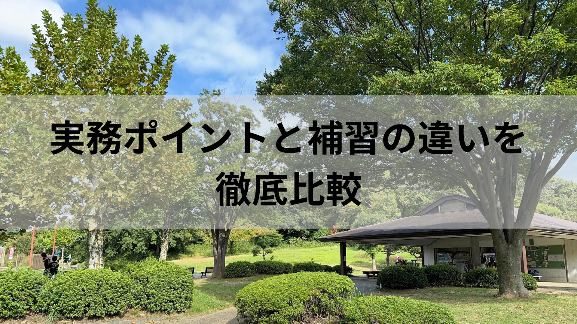 実務ポイントと補習の違いを 徹底比較
